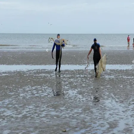 아파트 Near Belgian Coast Beach, Cleaning Included *