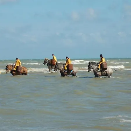 Near Belgian Coast Beach, Cleaning Included