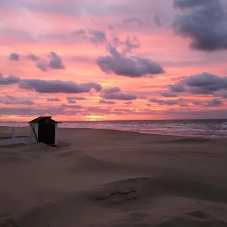 Near Belgian Coast Beach, Cleaning Included Apartment *