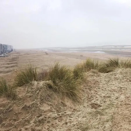 Near Belgian Coast Beach, Cleaning Included Koksijde